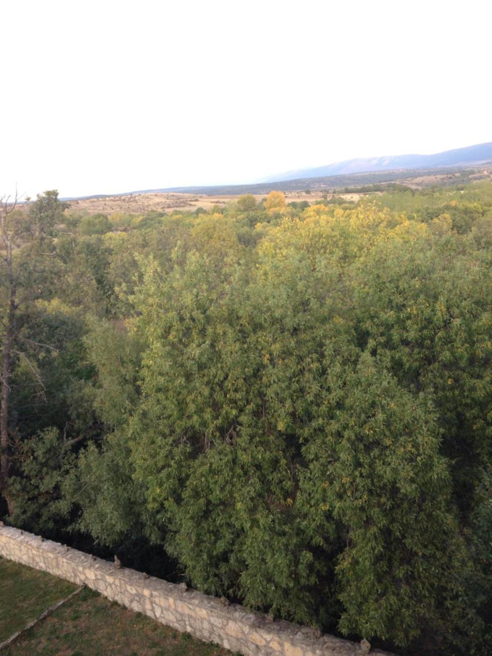 Apartamento Rural La Muralla De Pedraza Chavida エクステリア 写真
